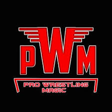 Short Sleeve Shirt ( Pro Wrestling Magic Standard Logo ) unisex
